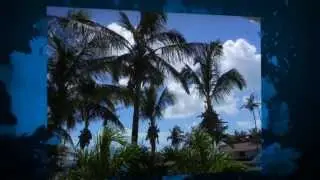 Bimini Big Game Club