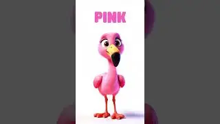 The flamingo is the color pink! 🦩
