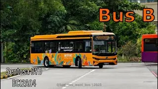 [Joyride] PD3134S on Sentosa Bus B | BYD BC12A04 Zhuhai Guangdong