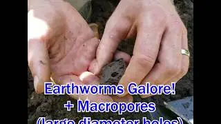 Awesome Soils & Macropores