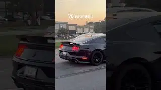 Cars cruising and revving on Woodward ave! #v8engine #ls7#mustanggt#revitup #carevent#carshorts
