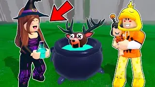 USAMOS POCIONES PARA SOBREVIVIR 99 NOCHES EN EL BOSQUE en Roblox!