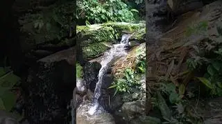 waterfall merapani//shorts