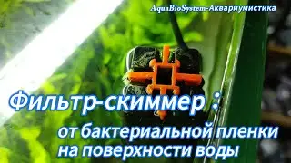 Фильтр-скиммер: от бактериальной плёнки на поверхности воды.