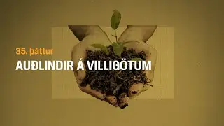 Au&eth;lindir &aacute; villig&ouml;tum