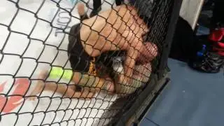Fabio Carbone vs. Roberto Allegretti