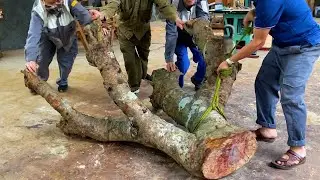 Creative Guy Turns Worthless Tree Stump to Thousand Dollar Coffee Table
