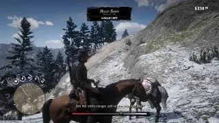 RDR2 2 Winton's White Cougar cave--spoilers! Part 2 Arthur's 2nd go!