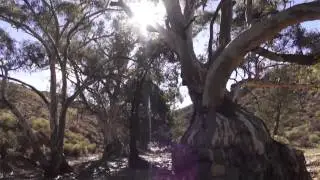 THE BENDLEBY RANGES ATTRACTIONS AND ACCOMMODATION short film