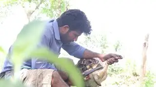 BEEF head Cooking Village MAN | Eating full HEAD | Village Style making