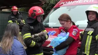 O femeie și mai multe pisici, salvate dintr-un incendiu de către colegii noștri