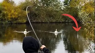 Short session CARNAGE!! PIKE fishing Uk!!