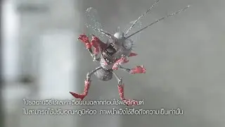 Thai Commercial Ranger scout  15 Odorless spray - Talking Bugs and Insects Commercial