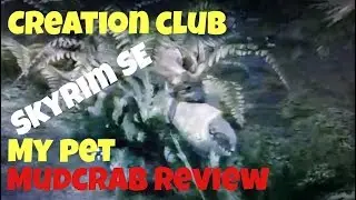 Skyrim SE: My Pet Mudcrab Review