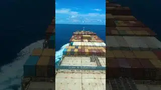 Ship 🛳️ | Sailor 👨&zwj;✈️ | Navigation | Love for sea 🌊 | Sidhu Moosewala ❤️ | Legend 📝
