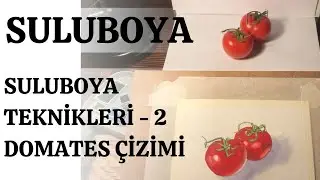Suluboya teknikleri - 2 | Domates çizimi