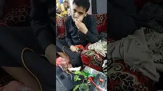افراح ال الصياد_زفه العرسان _حسن وعلي وزين العابدين والامين والمأمون