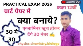 चार्ट पेपर पर क्या बनाये ✍️claas 12th #youtubeshorts #chartpatterns 