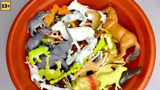 Plastic animals | animals collection dinosaur, Cat, Dog, sheep, Elephant, Zebra, Cow
