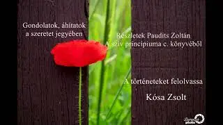 A sz&iacute;v princ&iacute;piuma HANGOSK&Ouml;NYV