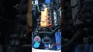 92-95 Honda Civic Fixed head gasket but now it only cranks but doesn&rsquo;t start everything was put on.