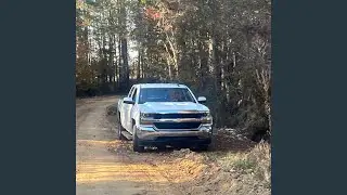 Georgia Girl