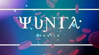 Pugile - Yunta