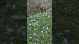 Берег реки после захода солнца
