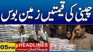 Great News, Sugar Prices Fall | 05pm News Headlines | 26 Nov 2025 | City 41