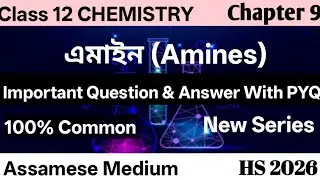 Important Topics & Question With PYQ।Class 12 Chemistry। Amines। Chapter 9।Assamese Medium।HS 2026।