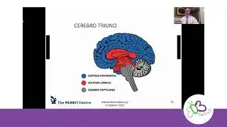La ansiedad y los comportamientos desafiantes desde Self-Reg - Joe Persia (espa&ntilde;ol)