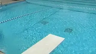 Survey: Half of Americans treat swimming pools as communal bathtub