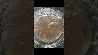 Evolution of Bulk Fermentation  #sourdoughbread #sourdoughtips #howtomakesourdough #bread