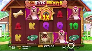 The Dog House - Slot RTP 95.51% Max Win $675 000 🔥