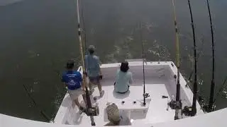 Cockpit Chaos