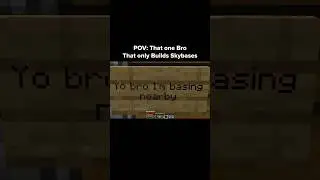 Minecraft Skybase Moment