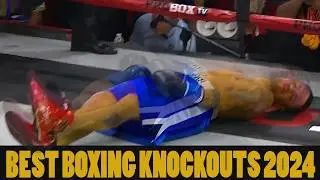 Best boxing KNOCKOUTS 2024