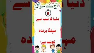 Urdu gk quiz sabse mahenga parinda #shorts #gk #quiz