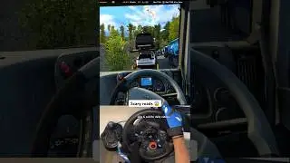 Euro Truck Simulator 2 - Scary roads #shorts