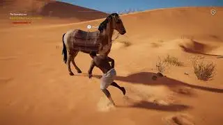 Assassin's Creed  Origins::Let's hunt bare handed
