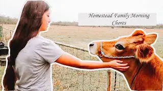 LARGE FAMILY LIFE ON A FARM || MORNING CHORES || LARGE FAMILY HOMESTEADERS MORNING ROUTINE