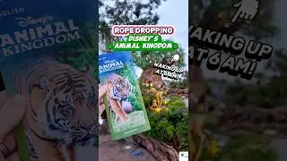 Просыпаемся в 6 утра ради Disney World! 😴 (Реалистичные аттракционы &laquo;Царство животных&raquo; с ранним д...