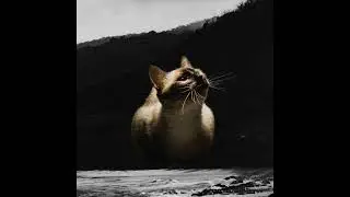 Chasing Cars Shvmxs. Remix