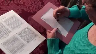 Needlepoint Project from Amybear