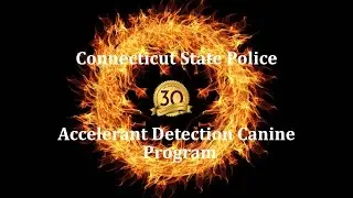ACCELERANT DETECTION CANINE 