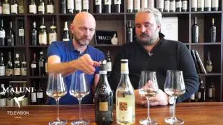 🔴 Gigantische Lugana Weine von Ottella - Maluni TV