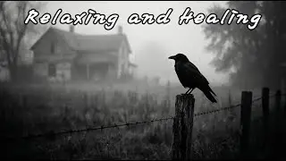 When the Train Passes at Dusk &ndash; Emotional American Folk Music for Quiet Moments