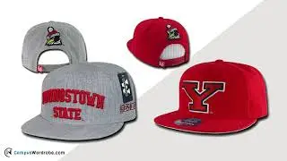 YSU Youngstown State University Penguins - NCAA T-Shirts Hoodies Sweatshirts Hats Crewnecks