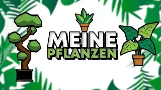 MEINE PFLANZEN  |  PLANT COLLECTION