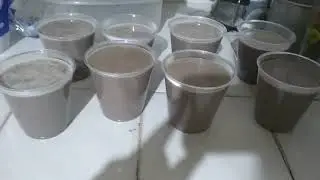Gelatina de galleta oreo | para negocio | con pocos ingredientes